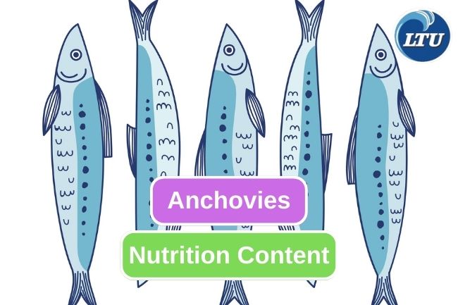 Here Are Some Essential Nutrition from Anchovies